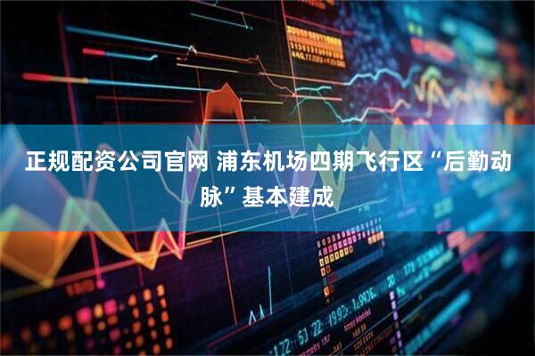 正规配资公司官网 浦东机场四期飞行区“后勤动脉”基本建成
