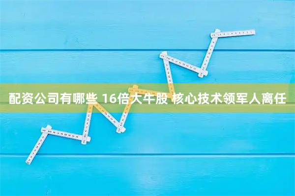 配资公司有哪些 16倍大牛股 核心技术领军人离任